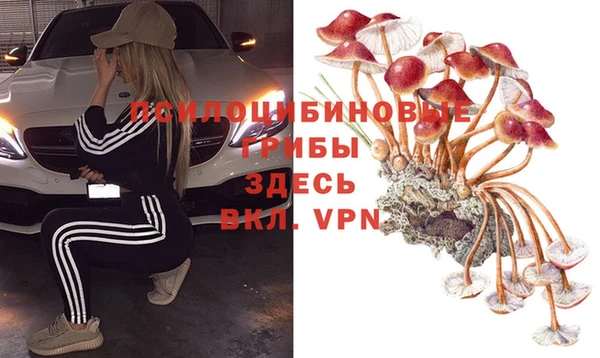 ECSTASY Алексеевка